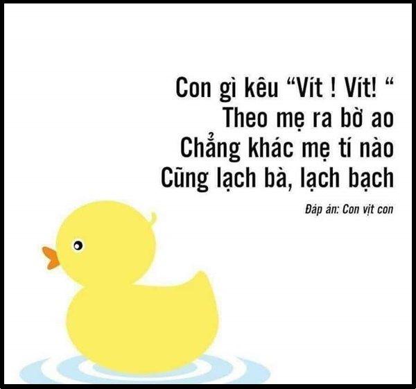 câu đố vui cho trẻ mầm non, tiểu học