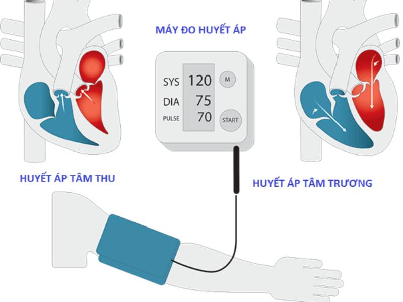 huyết áp tâm trương