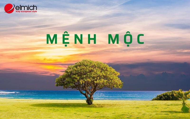 Mệnh Mộc Hợp Xe Màu Gì? Bí Quyết Chọn Màu Xe Thu Hút Tài Lộc