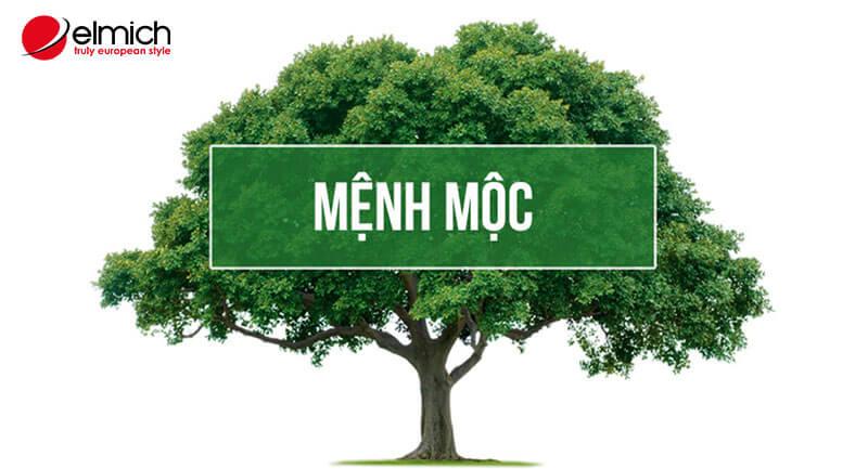 Mệnh mộc hợp hoa gì? 9 loài hoa hợp mệnh Mộc thu hút tài lộc nhất