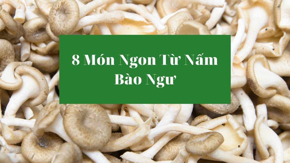 Tổng hợp 8 Món Chay Ngon Từ Nấm Bào Ngư