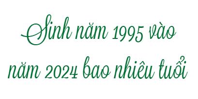 1995 Bao Nhiêu Tuổi? Ý Nghĩa Và Tầm Quan Trọng Của Tuổi Này