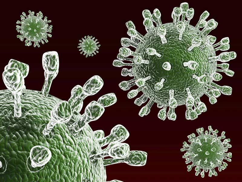 rota virus