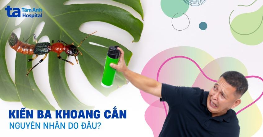 bị kiến ba khoang cắn