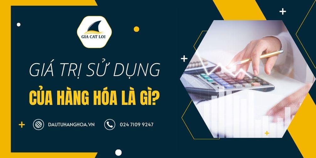 Giá trị sử dụng của hàng hóa là gì?