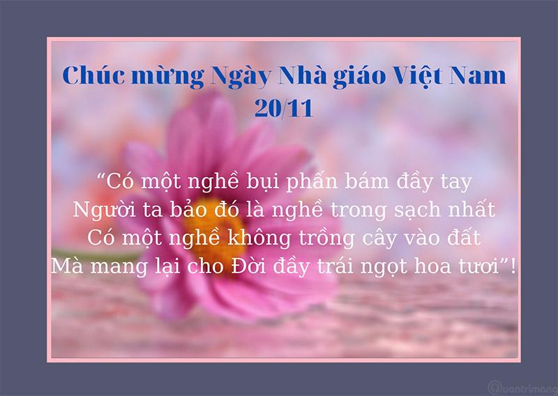 Hình ảnh 20/11