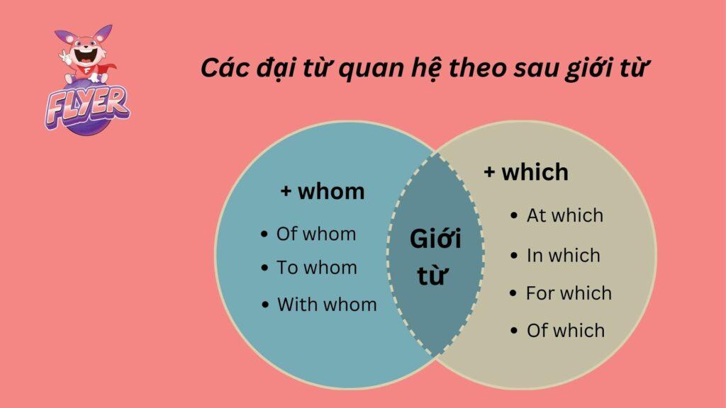 “In which” là gì? 3 trường hợp dùng “in which” cơ bản nhất trong tiếng Anh 