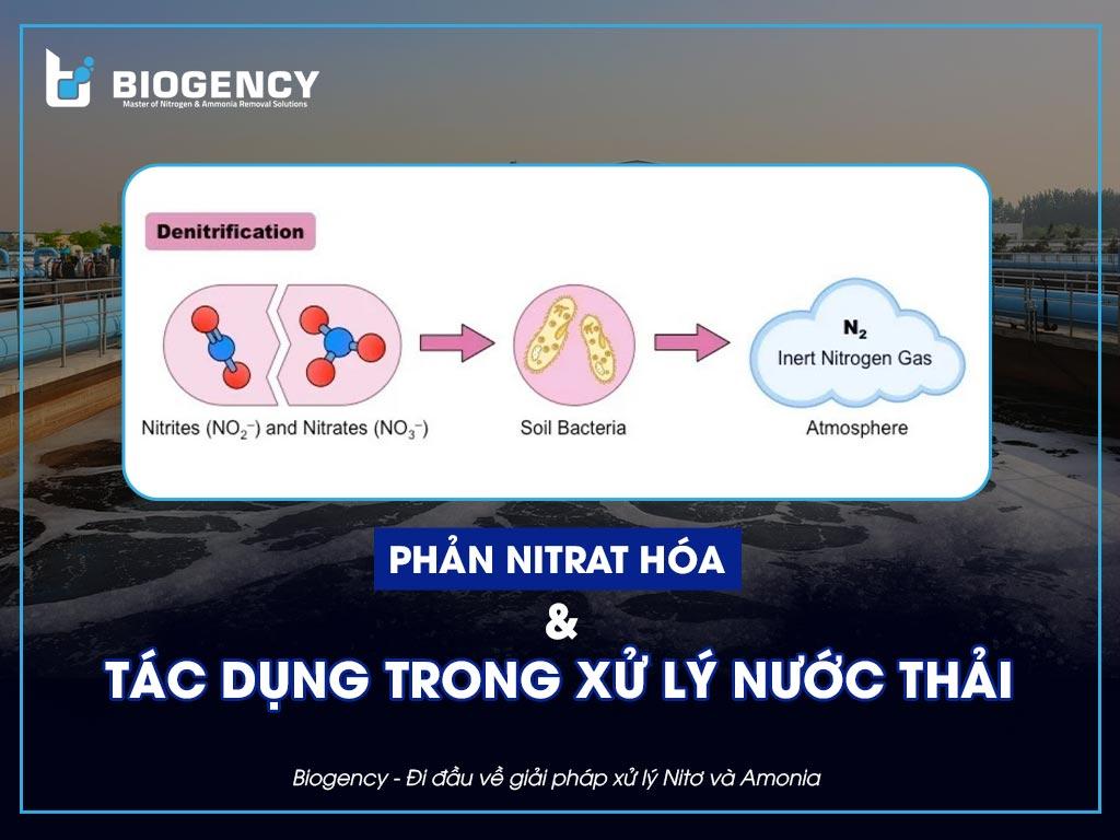 phản nitrat hóa