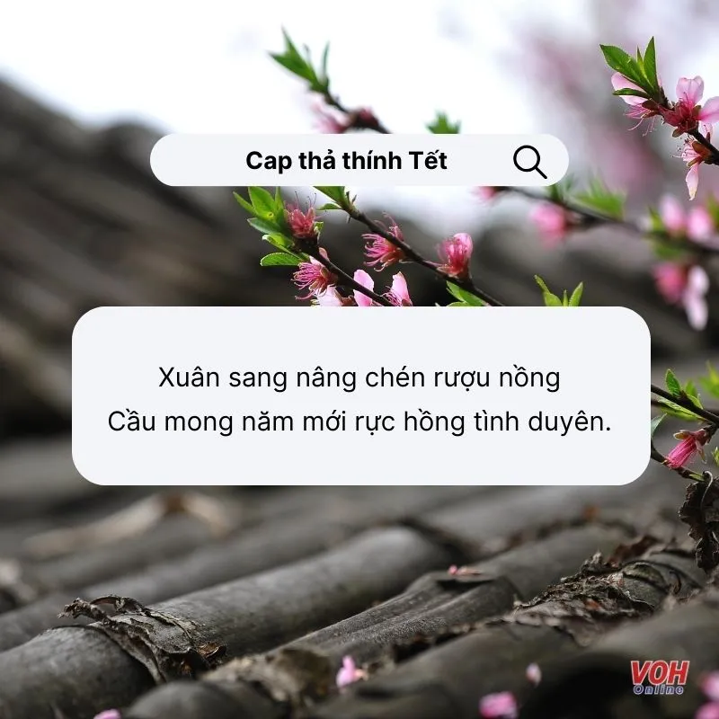 Tổng hợp STT, cap thả thính Tết hài hước, bá đạo 1