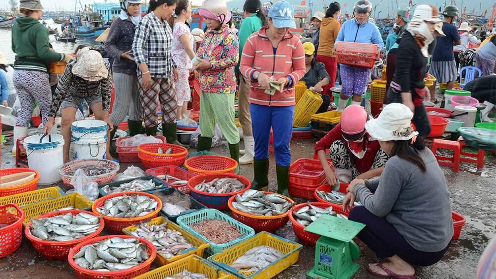 Các loại hải sản tươi ngon: tôm, cua, ghẹ, cá... được bày bán tại các chợ Quy Nhơn (Ảnh: Sưu tầm Internet)