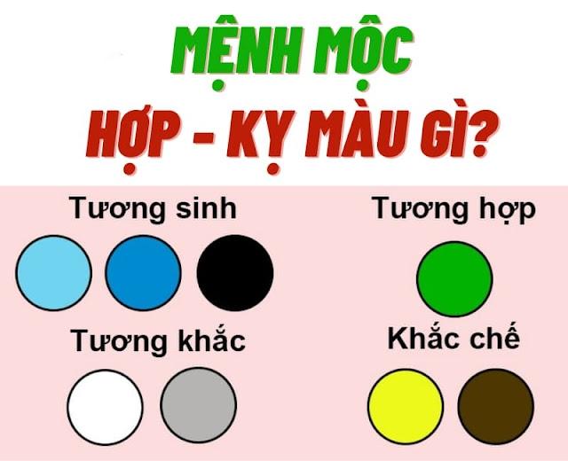 Chồng mệnh Mộc vợ mệnh Thủy mua xe màu gì