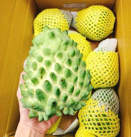 Na Đài Loan bao nhiêu 1kg | Hoa Quả Sạch Fuji Fruit | Hệ thống hoa quả sạch nhập khẩu Fuji