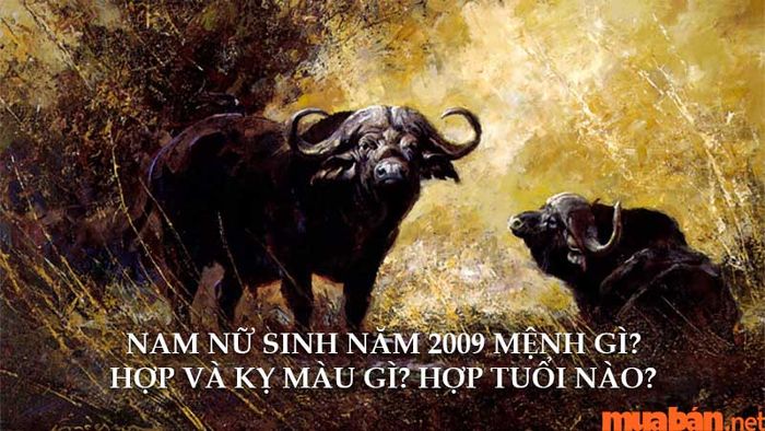 Sinh năm 2009 mệnh gì? Màu sắc hợp - kỵ và tuổi nào tương hợp?