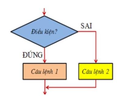 Hình bên dưới là cấu trúc rẽ nhánh dạng: