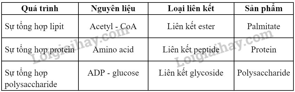 Bài 15: Tổng hợp các chất và tích lũy năng lượng trang 72, 73, 74, 75 Sinh 10 Chân trời sáng tạo</>