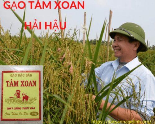 Đặc sản gạo tám thơm và gạo tám xoan Hải Hậu không nên bỏ lỡ