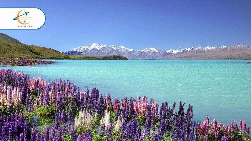 Hồ Tekapo