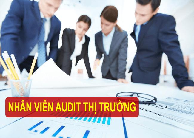 nhân viên audit thị trường