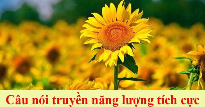 Câu nói tích cực truyền cảm hứng