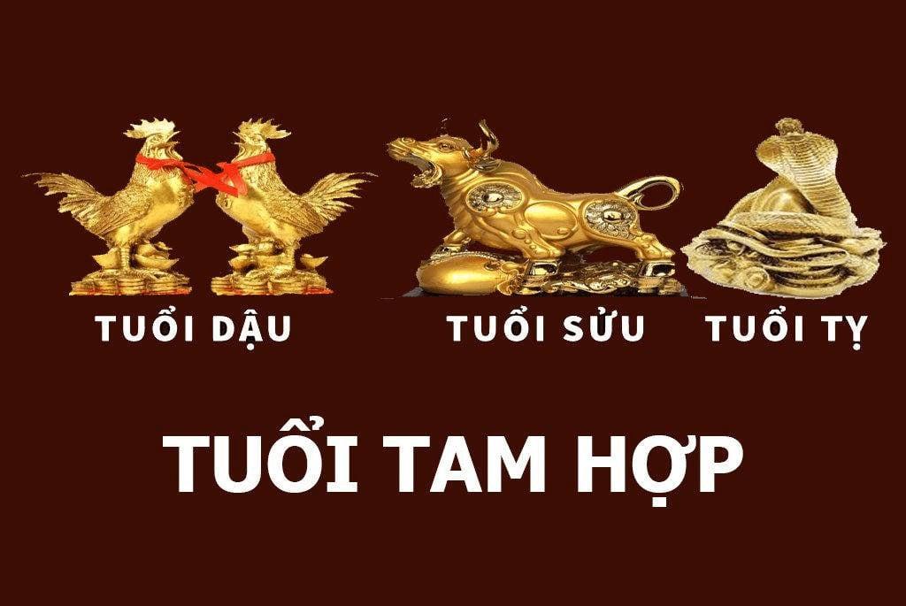 tam hợp tỵ dậu sửu